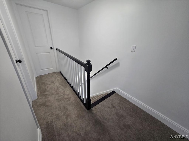 stairway featuring carpet flooring and baseboards