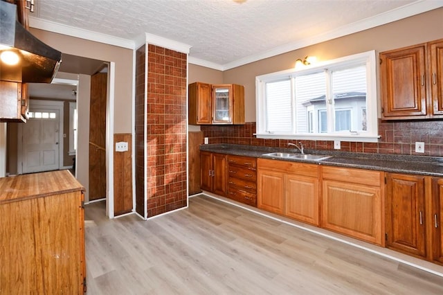 9 Renwood St, Rochester, NY 14621 - kitchen featuring a sink, ornamental molding, dark countertops, brown cabinetry, and light wood-style flooring