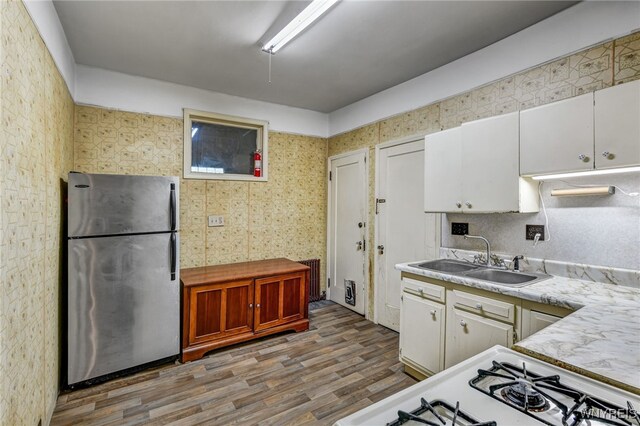2300 Main St, Buffalo, NY 14214 - kitchen featuring light countertops, wood finished floors, freestanding refrigerator, and a sink
