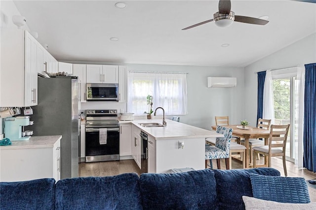 6186 Reservoir Rd, Lebanon, NY 13346 - kitchen with appliances with stainless steel finishes, a sink, a wall mounted AC, light wood-style floors, and open floor plan