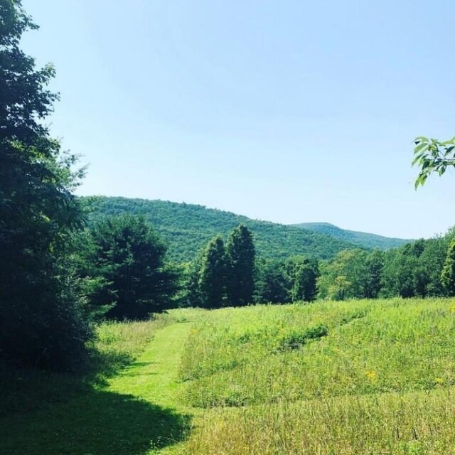 LOT1-0 Baker Hill Rd, Dix, NY 14891 - photo 7
