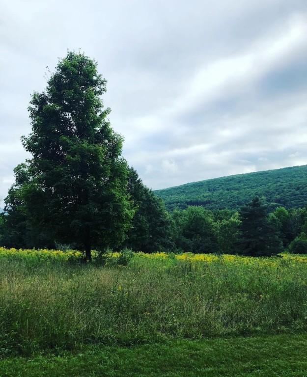 LOT1-0 Baker Hill Rd, Dix, NY 14891 - photo 4