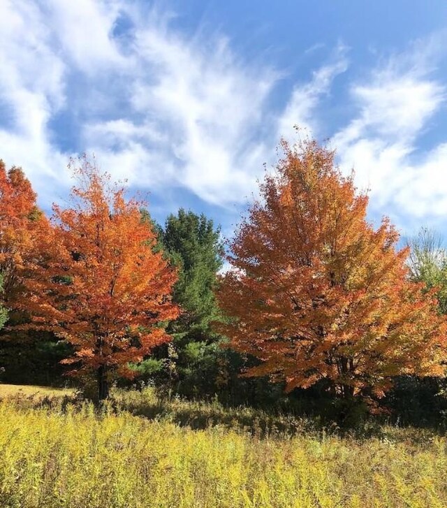 LOT1-0 Baker Hill Rd, Dix, NY 14891 - photo 5