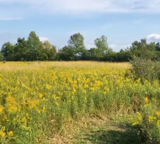 LOT1-0 Baker Hill Rd, Dix, NY 14891 - photo 6