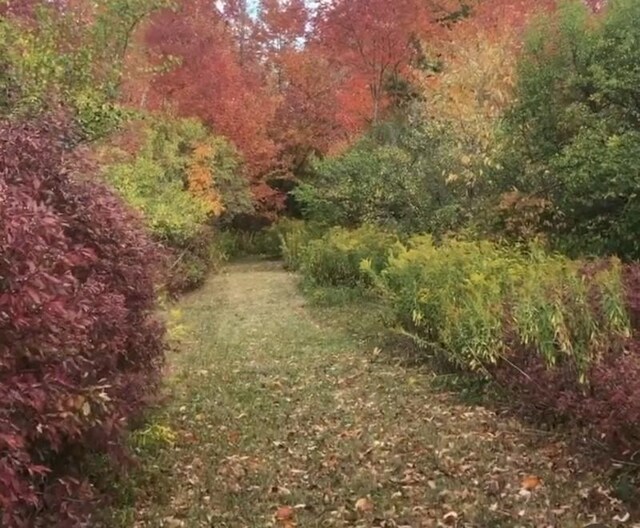 LOT1-0 Baker Hill Rd, Dix, NY 14891 - photo 8