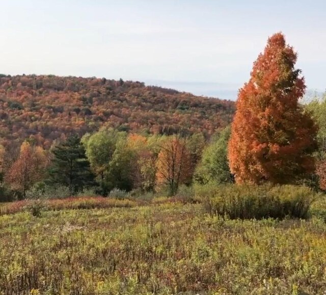 LOT1-0 Baker Hill Rd, Dix, NY 14891 - photo 9