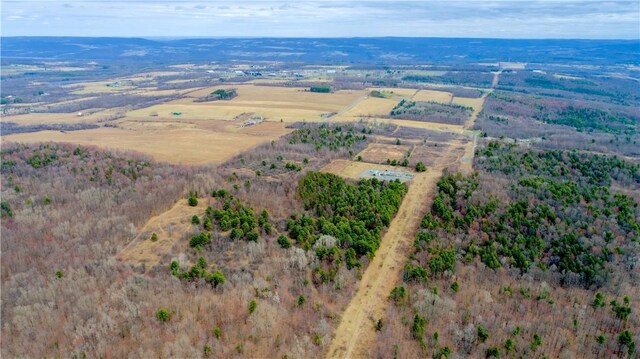 LOT1-0 Baker Hill Rd, Dix, NY 14891 - photo 10