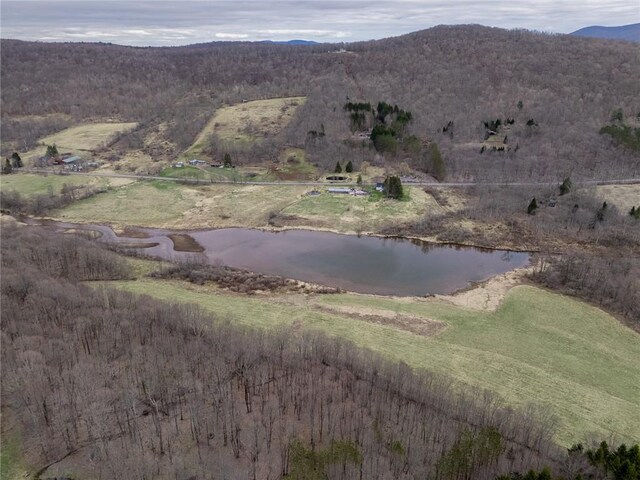 property view of mountains with a water view