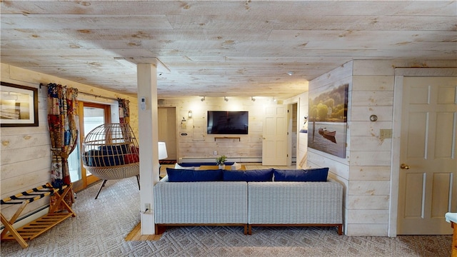 6761 State Highway 80, Otsego, NY 13326 - living area with wood walls, baseboard heating, and carpet