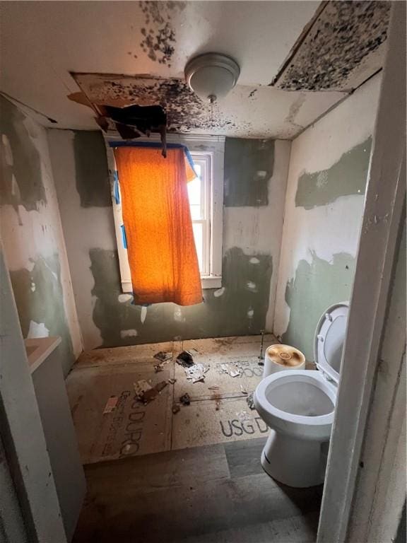 bathroom featuring toilet