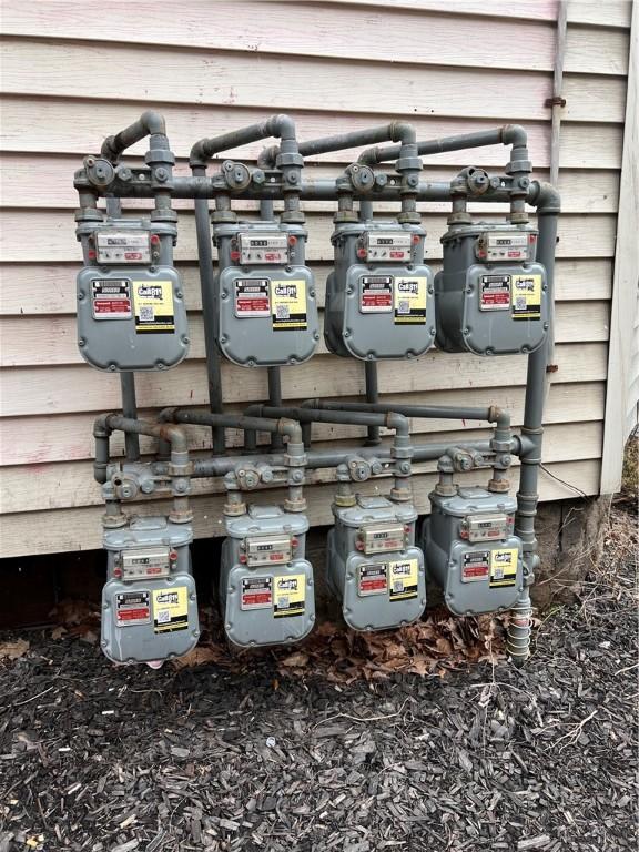 exterior details with gas meter