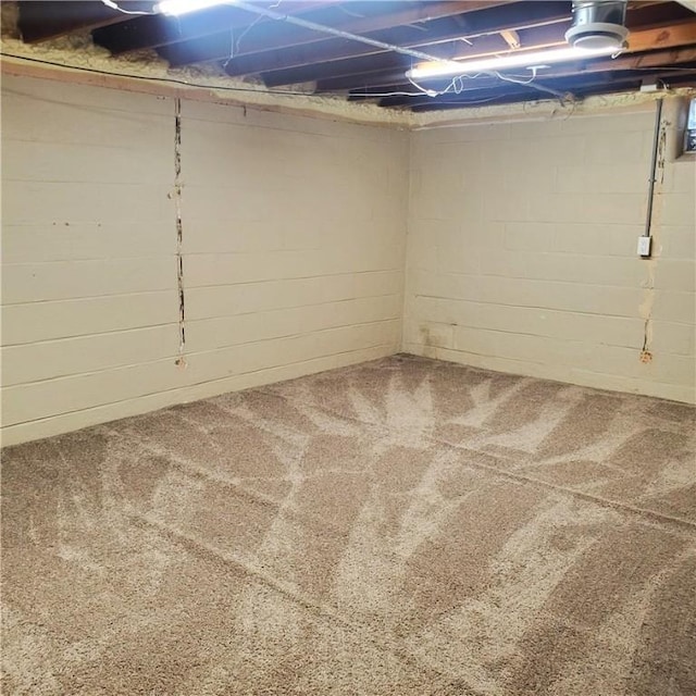 unfinished below grade area featuring carpet floors