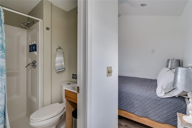 27180 Montonna Shores Rd N, Lyme, NY 13693 - bathroom featuring toilet, vanity, and a stall shower
