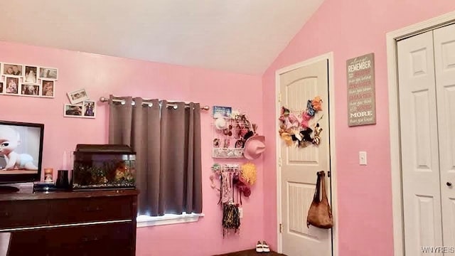 bedroom featuring vaulted ceiling