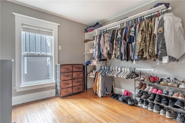 22 Bridge St, Champion, NY 13619 - walk in closet with wood-type flooring