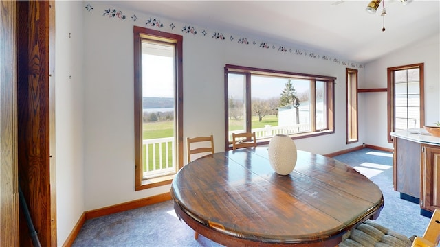 4501 State Route 414, Hector, NY 14818 - carpeted dining area featuring vaulted ceiling and baseboards