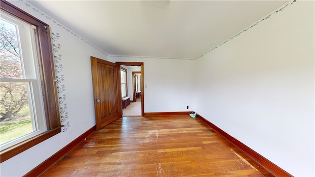 4501 State Route 414, Hector, NY 14818 - unfurnished room with baseboards, light wood finished floors, and plenty of natural light