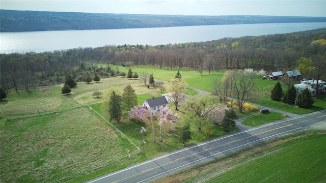 4501 State Route 414, Hector, NY 14818 - aerial view with a rural view, a forest view, and a water view