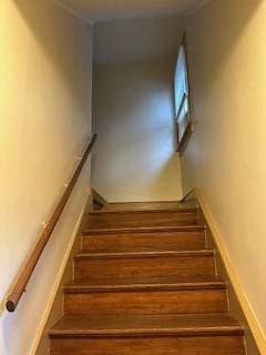 staircase with wood finished floors