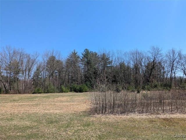 0 Vienna Rd, Vienna, NY 13157 - photo 4