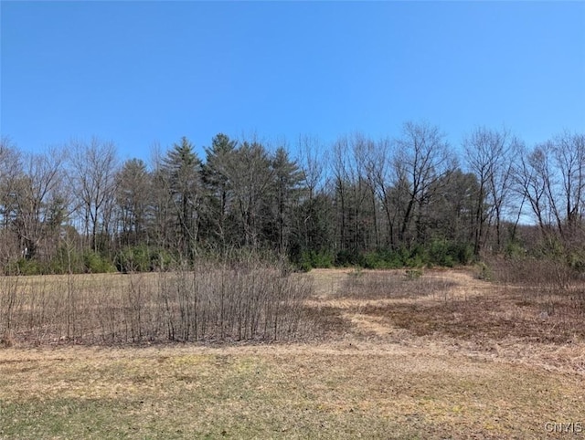 0 Vienna Rd, Vienna, NY 13157 - photo 6