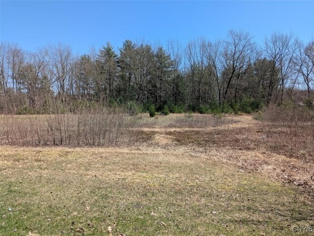 0 Vienna Rd, Vienna, NY 13157 - photo 7