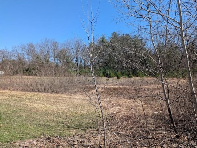 0 Vienna Rd, Vienna, NY 13157 - photo 8