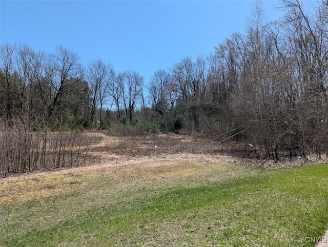 0 Vienna Rd, Vienna, NY 13157 - photo 9