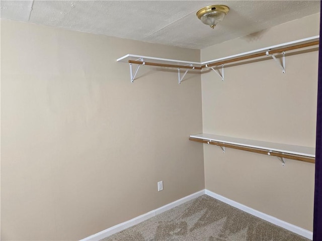 walk in closet with carpet