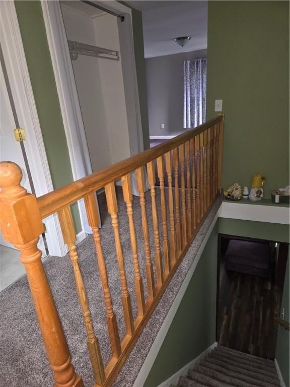 staircase featuring carpet floors