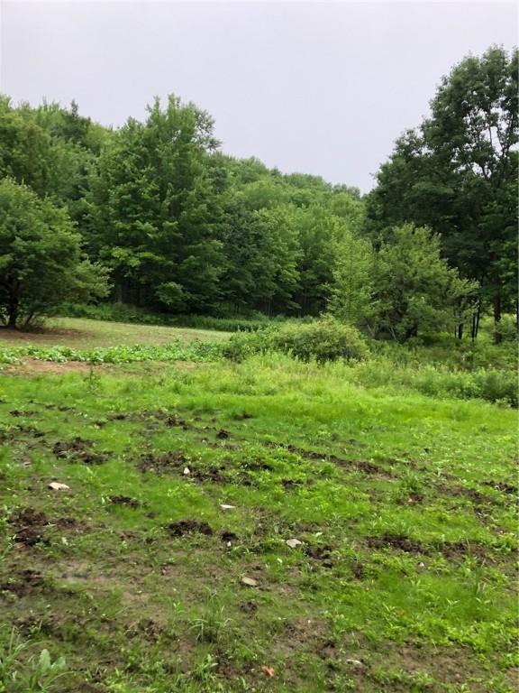 1421 Roof Rd, Sidney, NY 13839 - photo 19