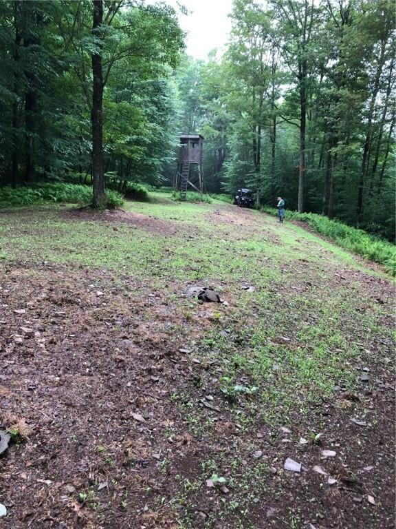 1421 Roof Rd, Sidney, NY 13839 - photo 23