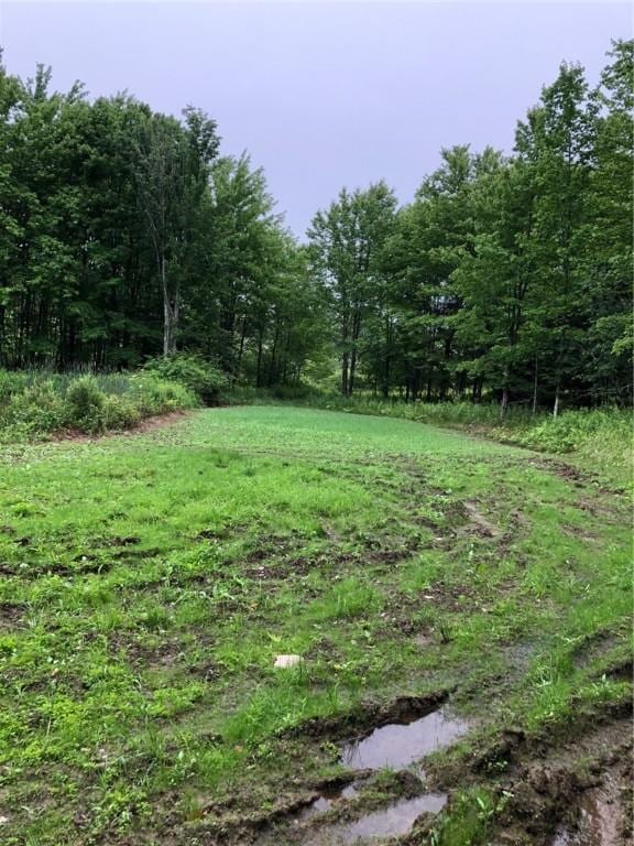 1421 Roof Rd, Sidney, NY 13839 - photo 26