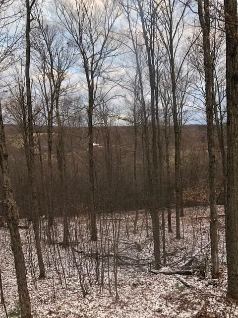 1421 Roof Rd, Sidney, NY 13839 - photo 27