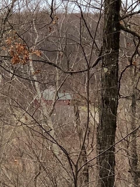 1421 Roof Rd, Sidney, NY 13839 - photo 28
