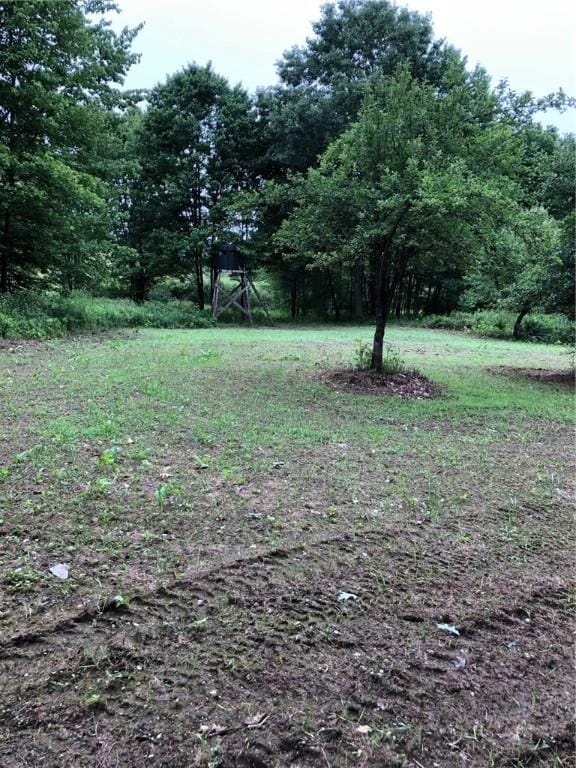 1421 Roof Rd, Sidney, NY 13839 - photo 30