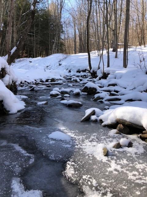 1421 Roof Rd, Sidney, NY 13839 - photo 31