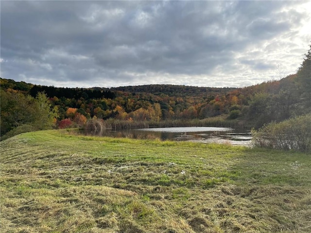 1421 Roof Rd, Sidney, NY 13839 - photo 32