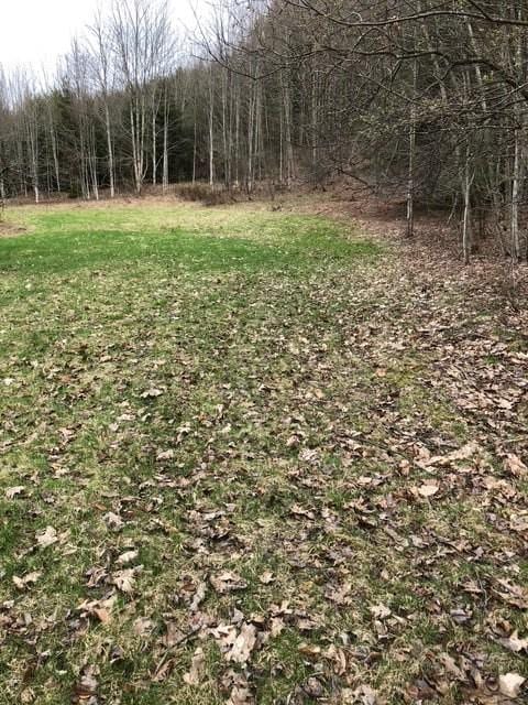 1421 Roof Rd, Sidney, NY 13839 - photo 34