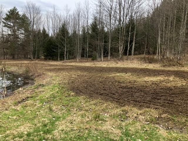 1421 Roof Rd, Sidney, NY 13839 - photo 36