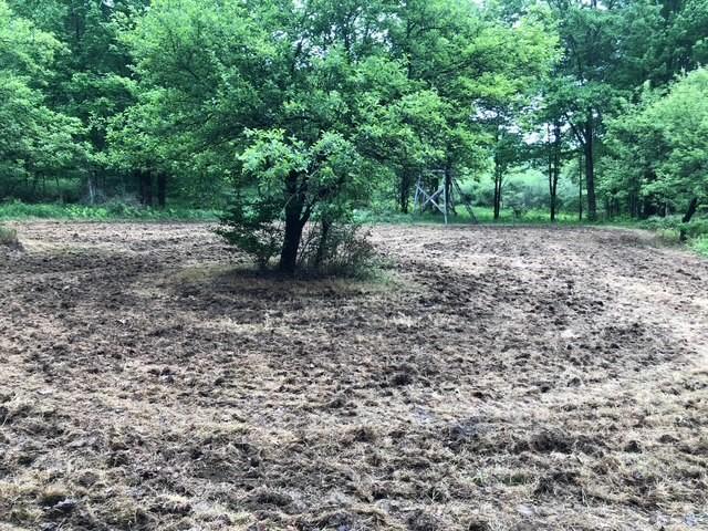 1421 Roof Rd, Sidney, NY 13839 - photo 37
