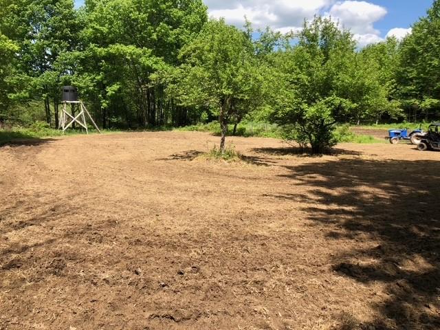 1421 Roof Rd, Sidney, NY 13839 - photo 38