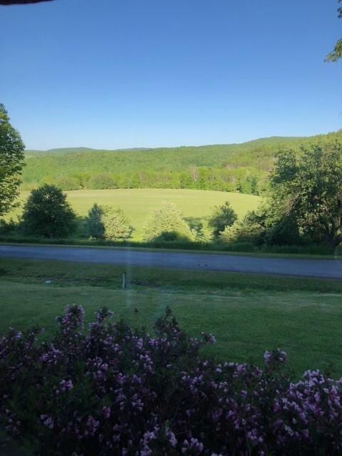 1421 Roof Rd, Sidney, NY 13839 - photo 39