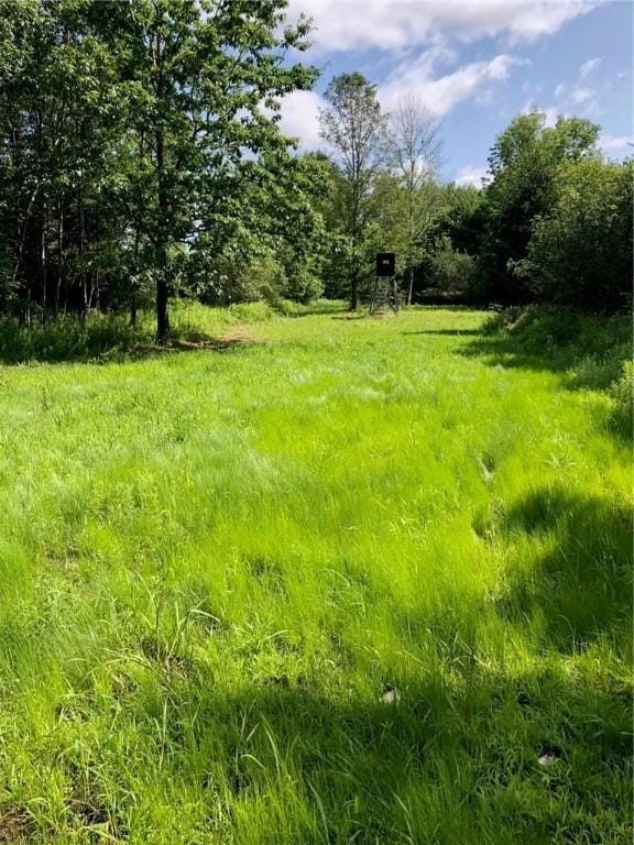 1421 Roof Rd, Sidney, NY 13839 - photo 42
