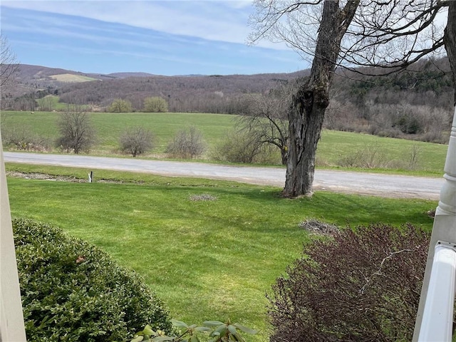 1421 Roof Rd, Sidney, NY 13839 - photo 18