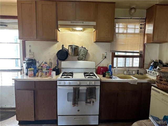 396 Guilford St, Buffalo, NY 14211 - kitchen with under cabinet range hood, a sink, white appliances, and light countertops