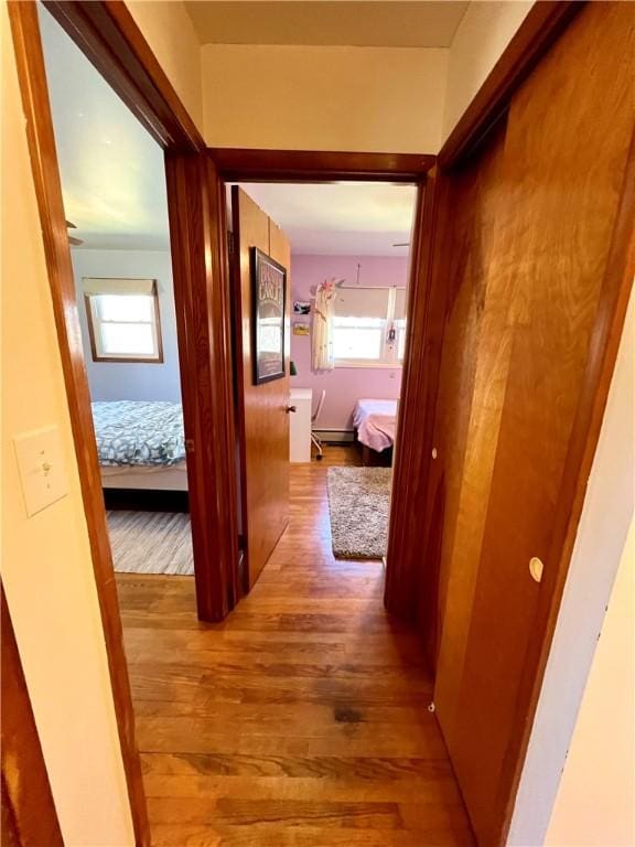 3460 County Road 28, Reading, NY 14891 - hallway featuring plenty of natural light and wood finished floors