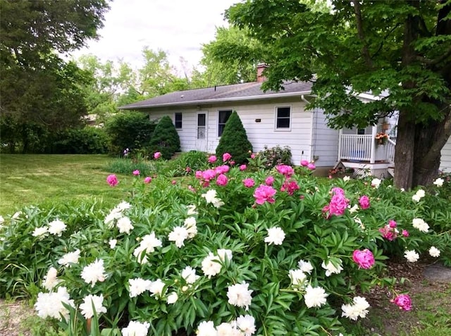 3460 County Road 28, Reading, NY 14891 - view of yard