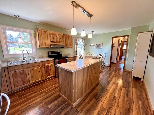3460 County Road 28, Reading, NY 14891 - kitchen featuring baseboard heating, a sink, stainless steel electric range, under cabinet range hood, and dark wood-style floors