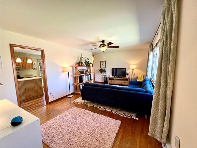 3460 County Road 28, Reading, NY 14891 - living room featuring baseboards, a ceiling fan, and wood finished floors